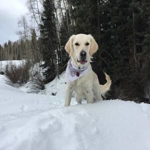 Meet your Posher, Rim